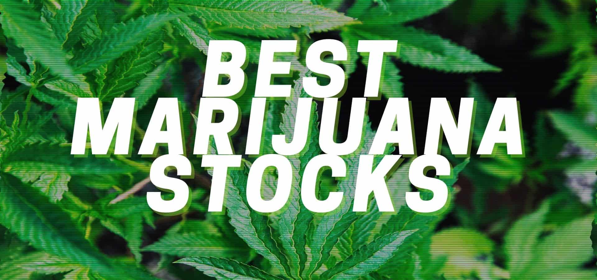 best marijuana stocks