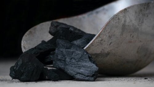 raw coal