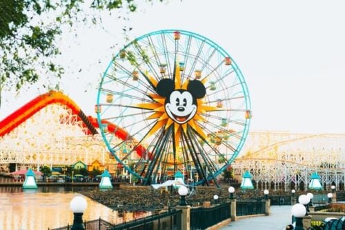 roller coaster at Disneyland