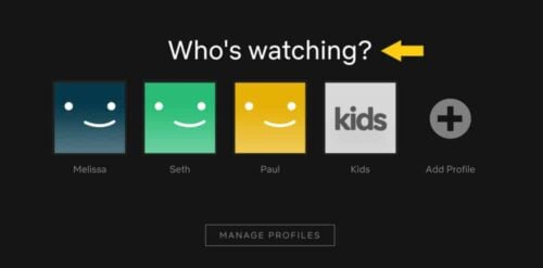 How Can Netflix Make Money In The Future