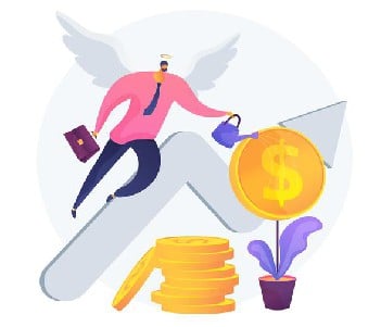 2.Angel Investors