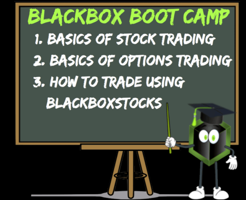 BlackBox Bootcamp review