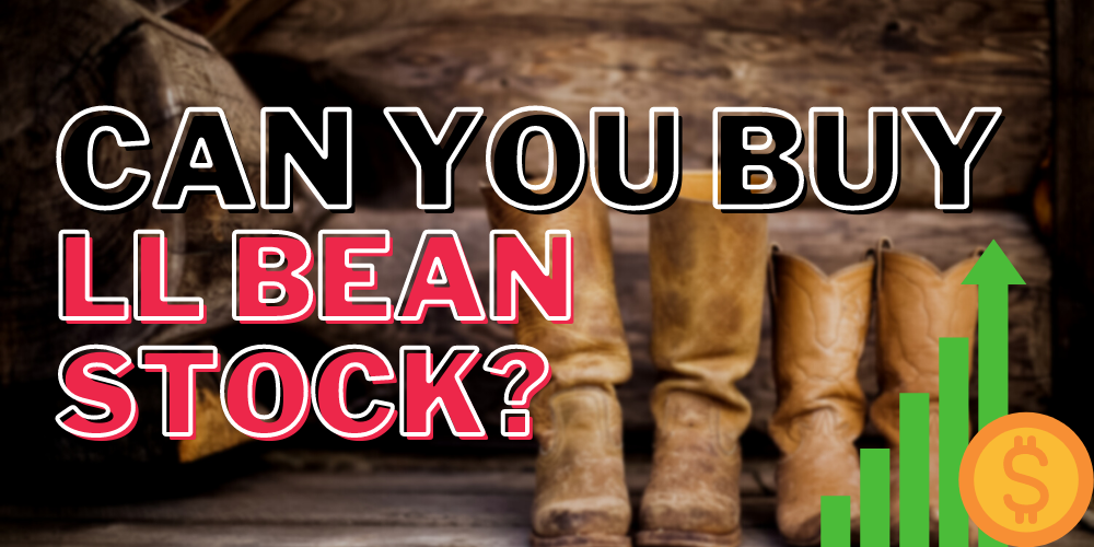 LL Bean stock