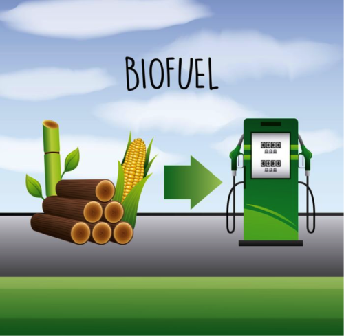 biofuel stocks