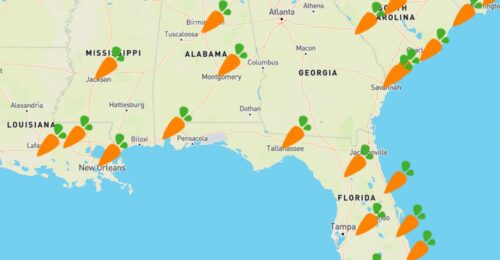 can you buy Publix stock