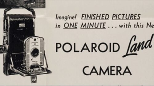 can you buy polaroid stock