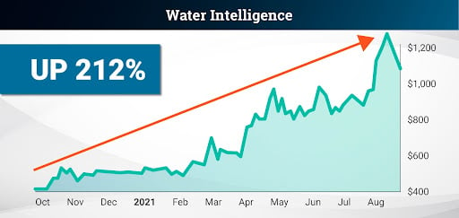 gvi investor track record