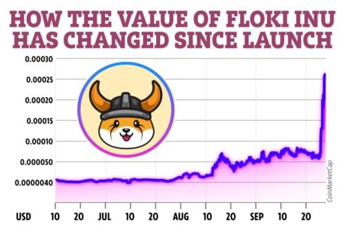 can floki inu hit 1 cent