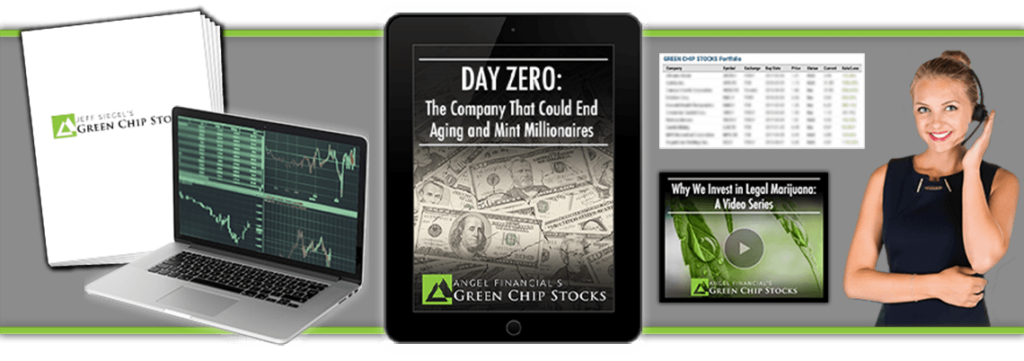 green chip stocks reviews