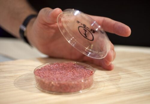 lab-grown meat stocks