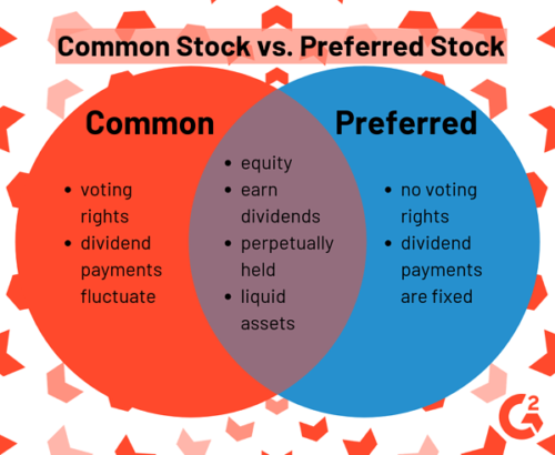 navigate the stock market