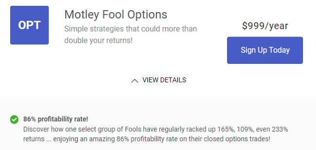 motley fool options performance