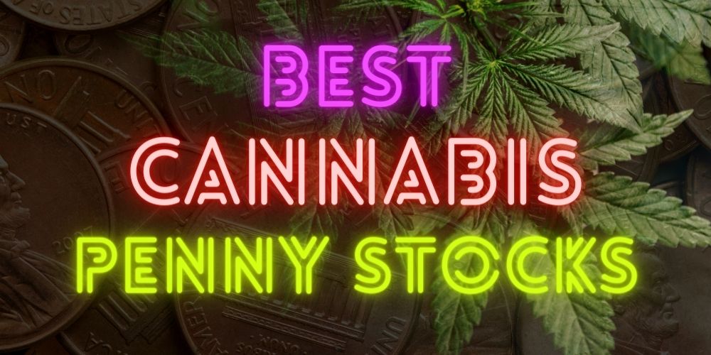 The Best 7 Cannabis Penny Stocks To Buy