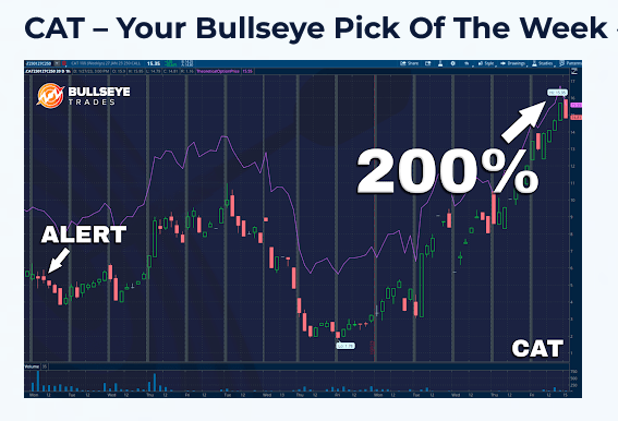 cat - your bullseye pick of the week