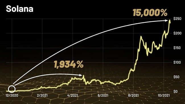 solana coin price