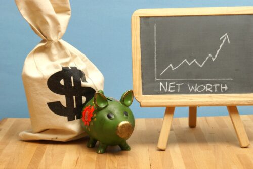 dr. Steve Sjuggerud net worth