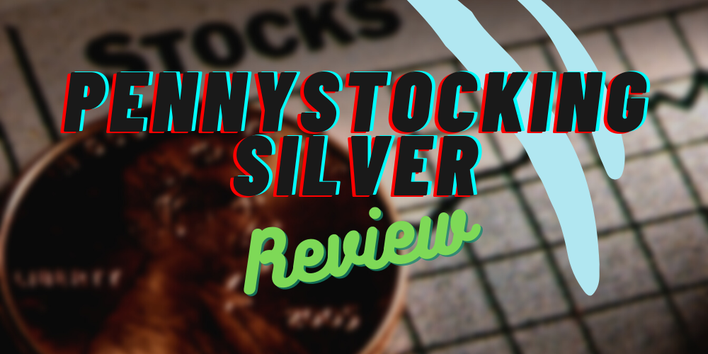 Pennystocking Silver Review