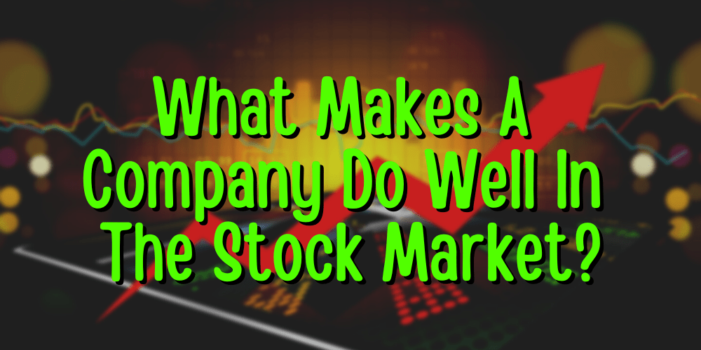 what makes a company do well in the stock market?