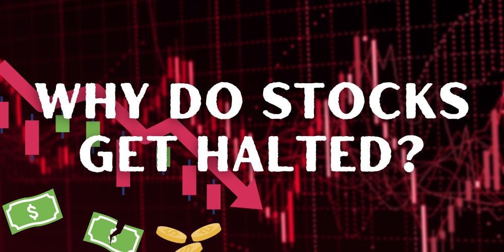 Why Do Stocks Get Halted