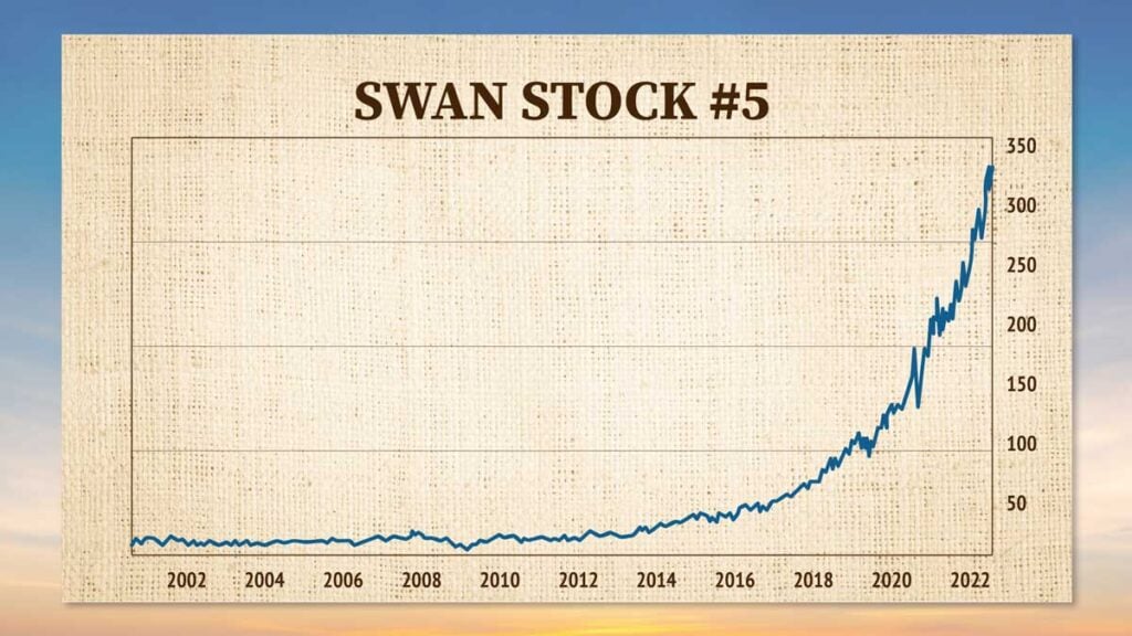 swan stock number 5 performance chart