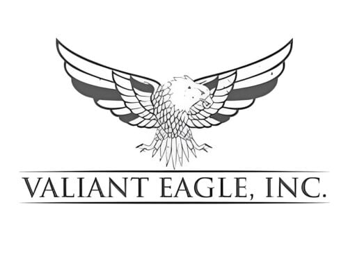 Valiant Eagle Inc