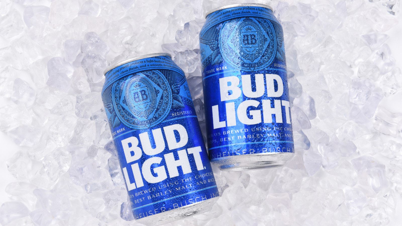 Bud Light's Sales Plummet as Controversy Continues Can the Brand Recover?