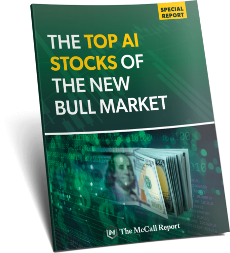 The Top AI Stocks of the New Bull Market