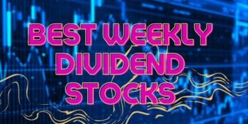 The 11 Best Stocks That Pay Weekly Dividends of February 2026