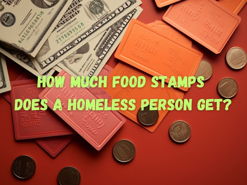 how much food stamps does a homeless person get