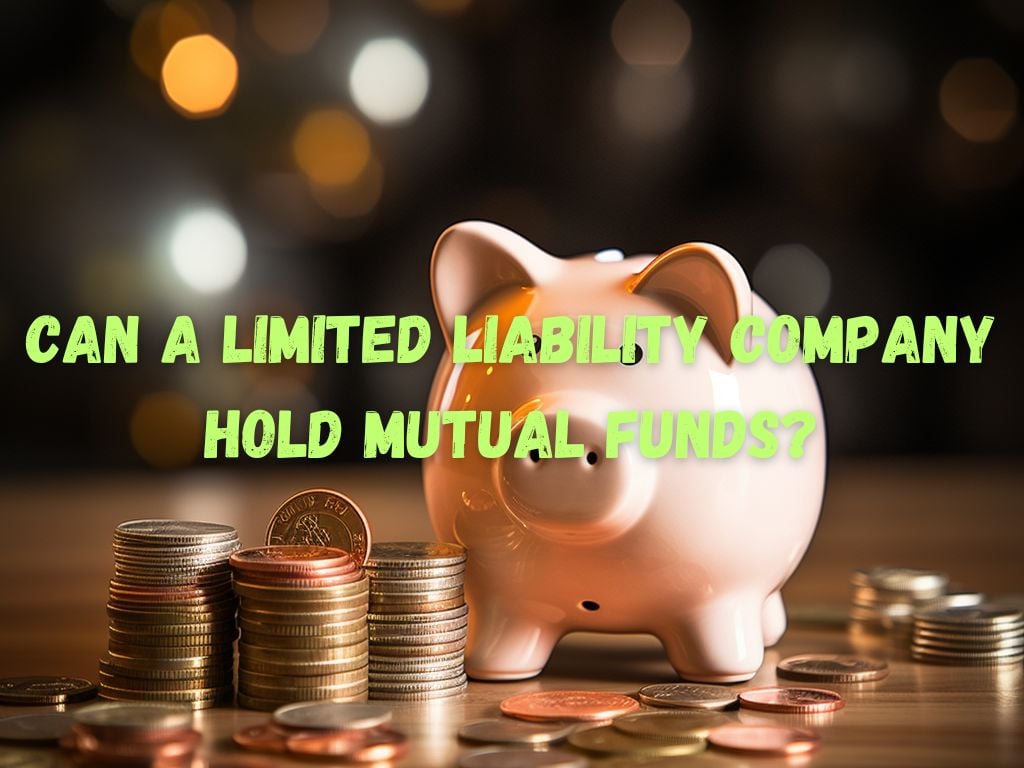 Can a Limited Liability Company Hold Mutual Funds