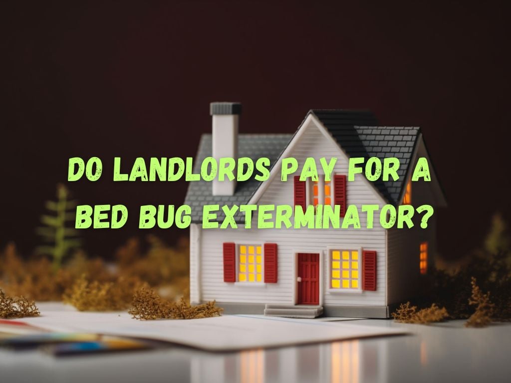 Do Landlords Pay for a Bed Bug Exterminator
