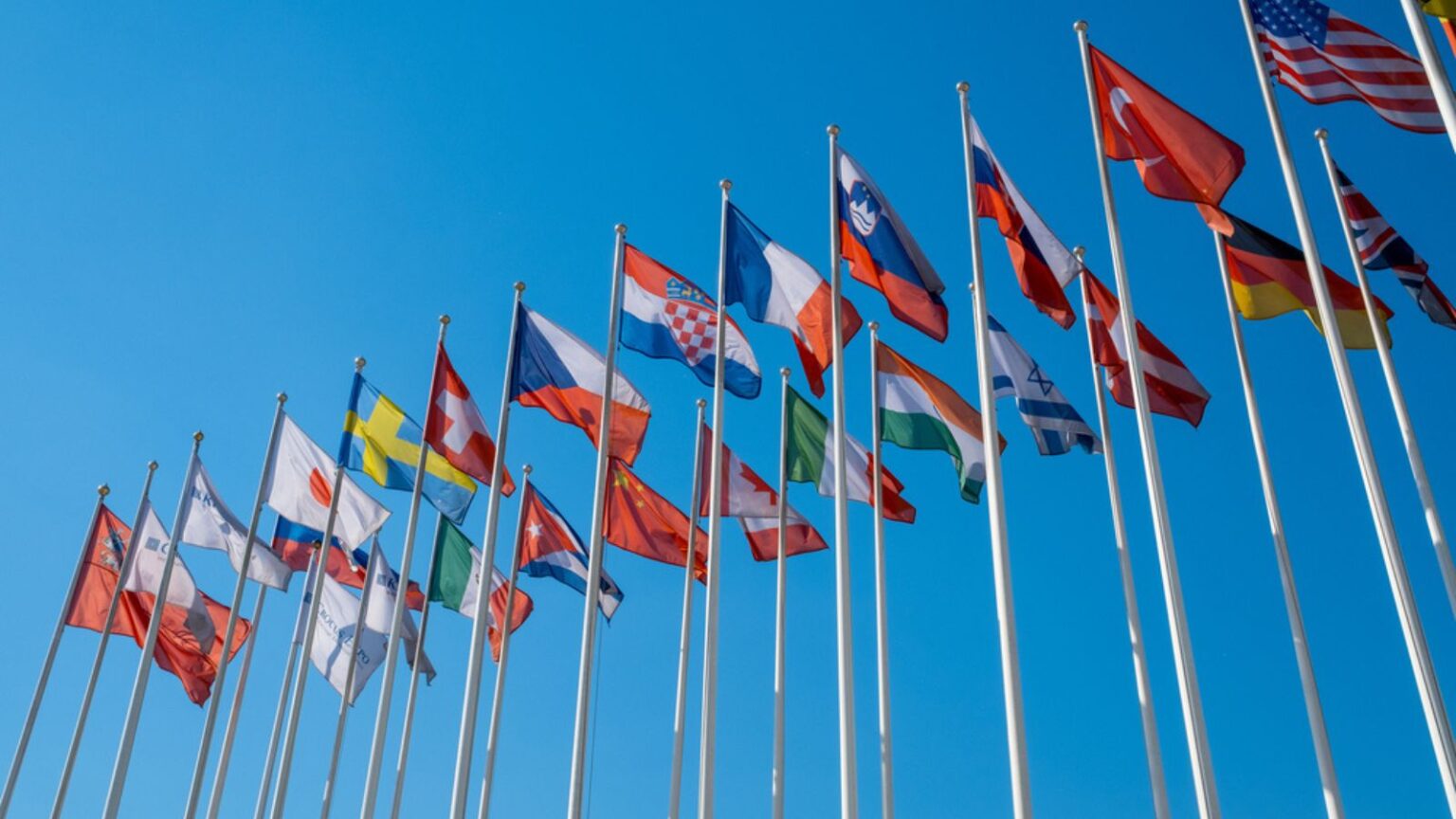 How the UN Foundation Drives Environmental Policy