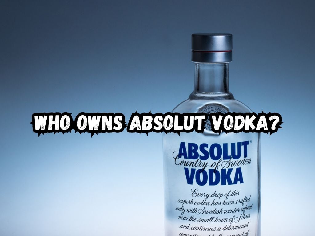 Who Owns Absolut Vodka