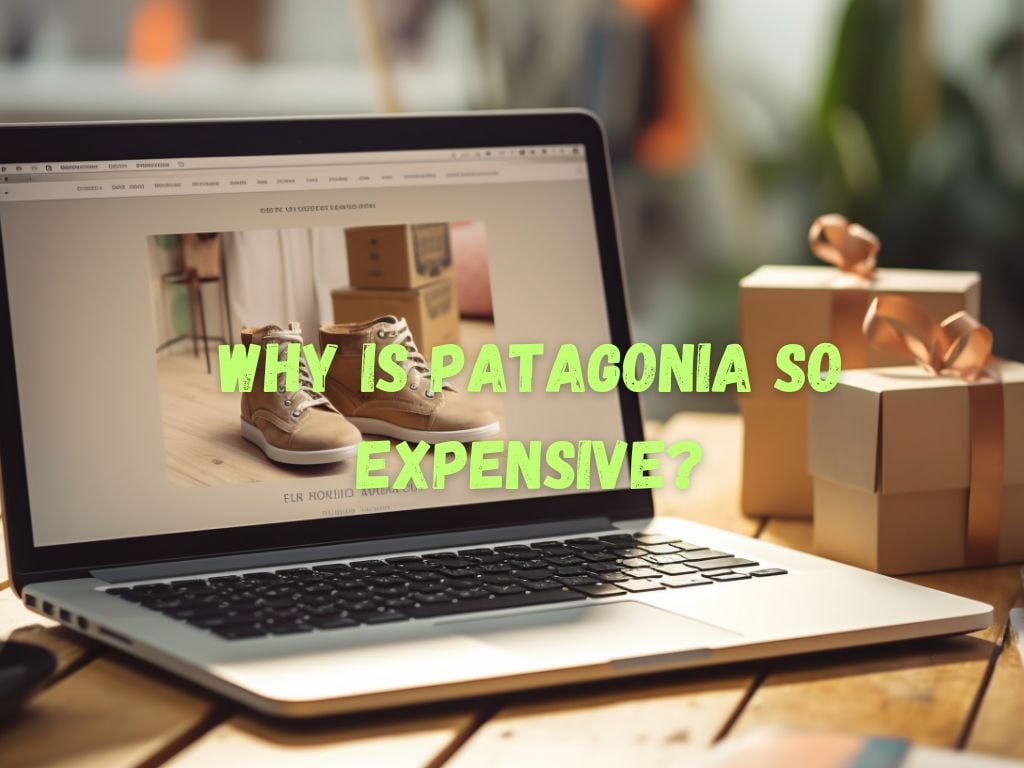 Why is Patagonia So Expensive