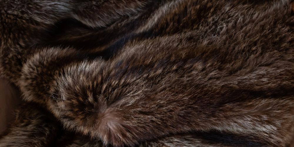 fur trade industry