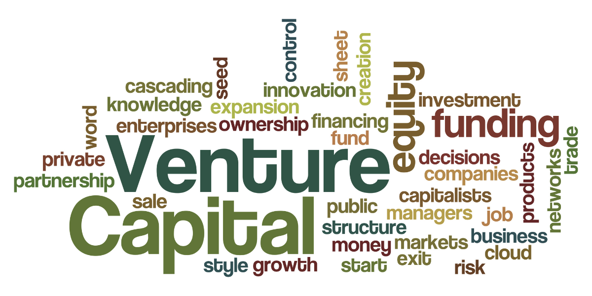 Venture Capital in Educational Ventures