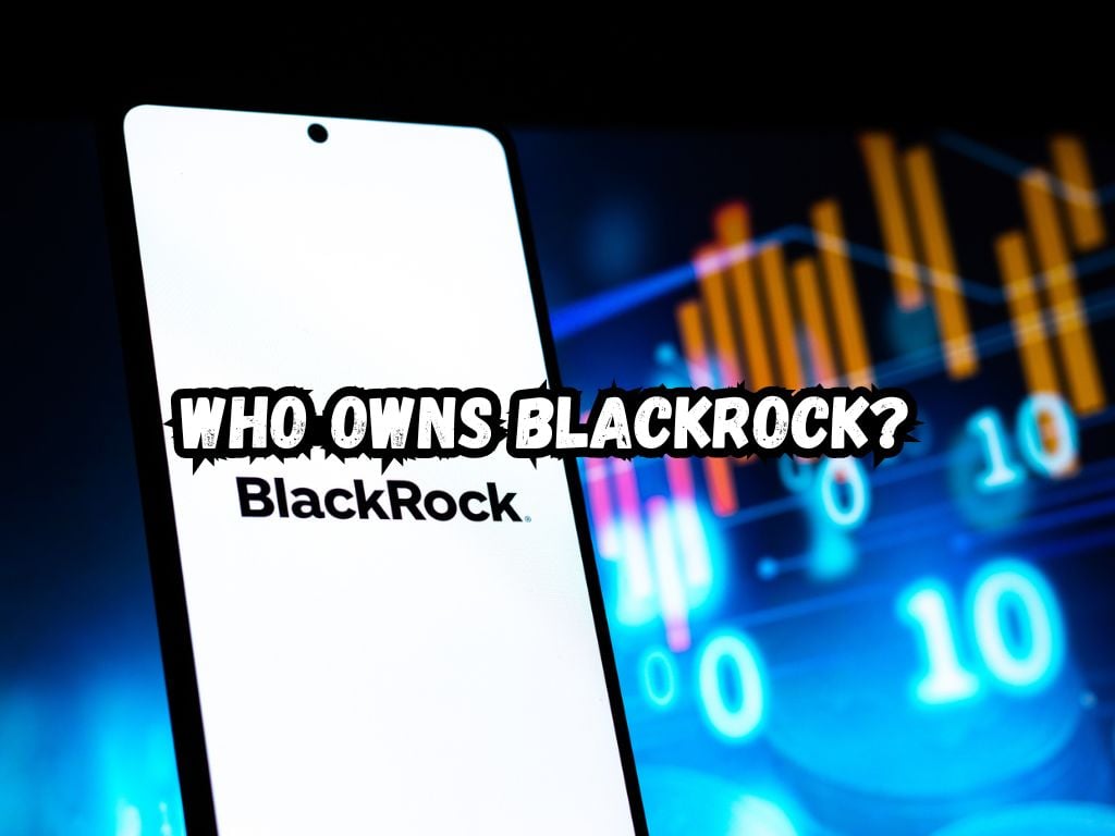 Who Owns BlackRock