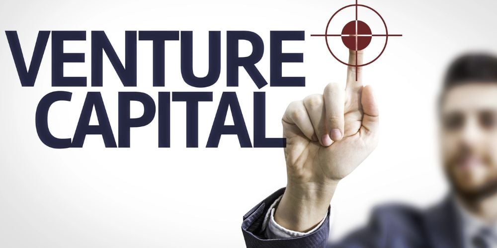 Venture Capitalists