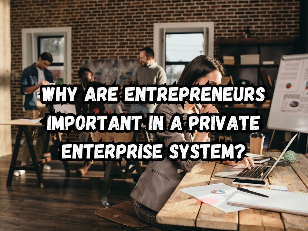 Why Are Entrepreneurs Important in a Private Enterprise System