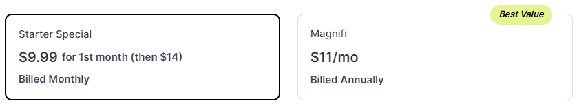 magnifi price