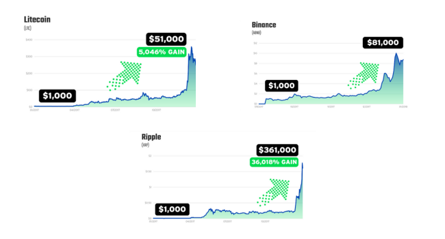 Coins like Litecoin, Binance, and Ripple shot up the charts to quadruple and quintuple-digit gains.