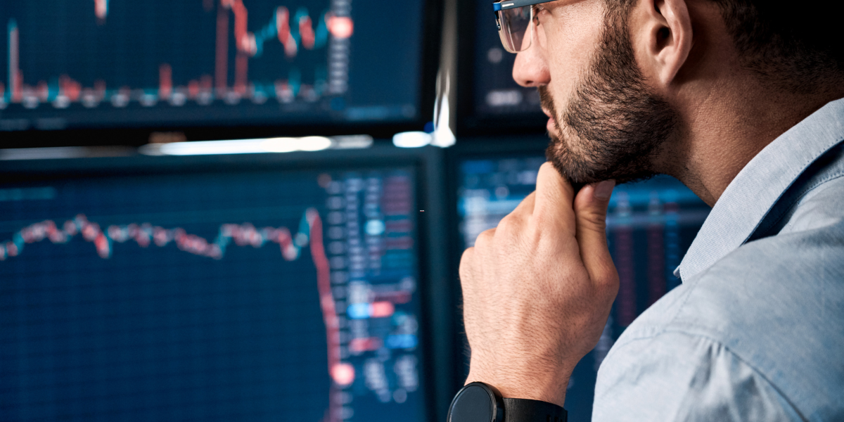 Is the Crypto Bull Run Millionaire Blueprint Right for You?