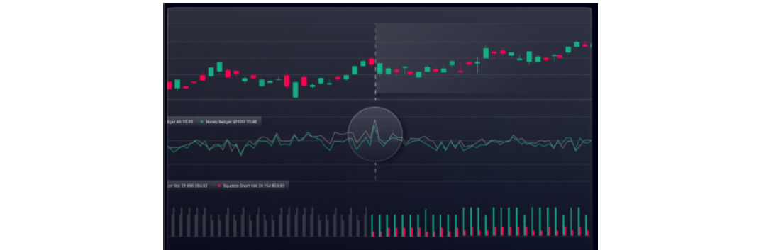 BigShort Squeeze Indicator (Honey Badger Days)