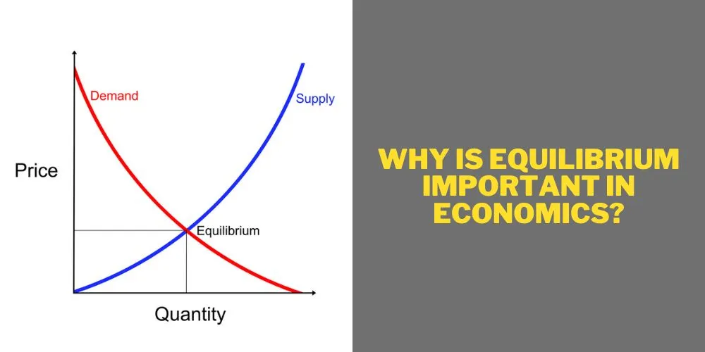 Why Is Equilibrium Important in Economics