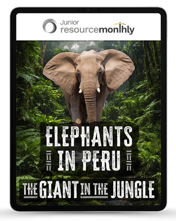 Elephants in Peru: The Giant in the Jungle
