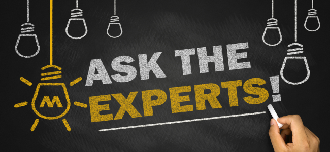 trader expert