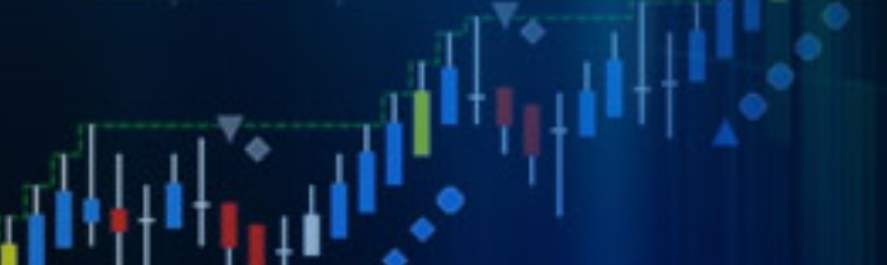 netpicks trading system