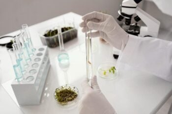 Amino Innovations Develops Next-Generation Peptide Patch Platform to Redefine Everyday Wellness