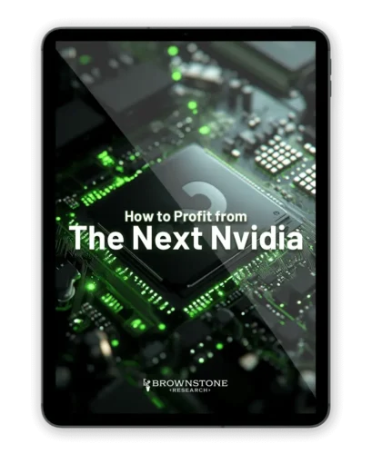 How to Profit from the Next Nvidia