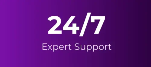 24/7 Expert Support